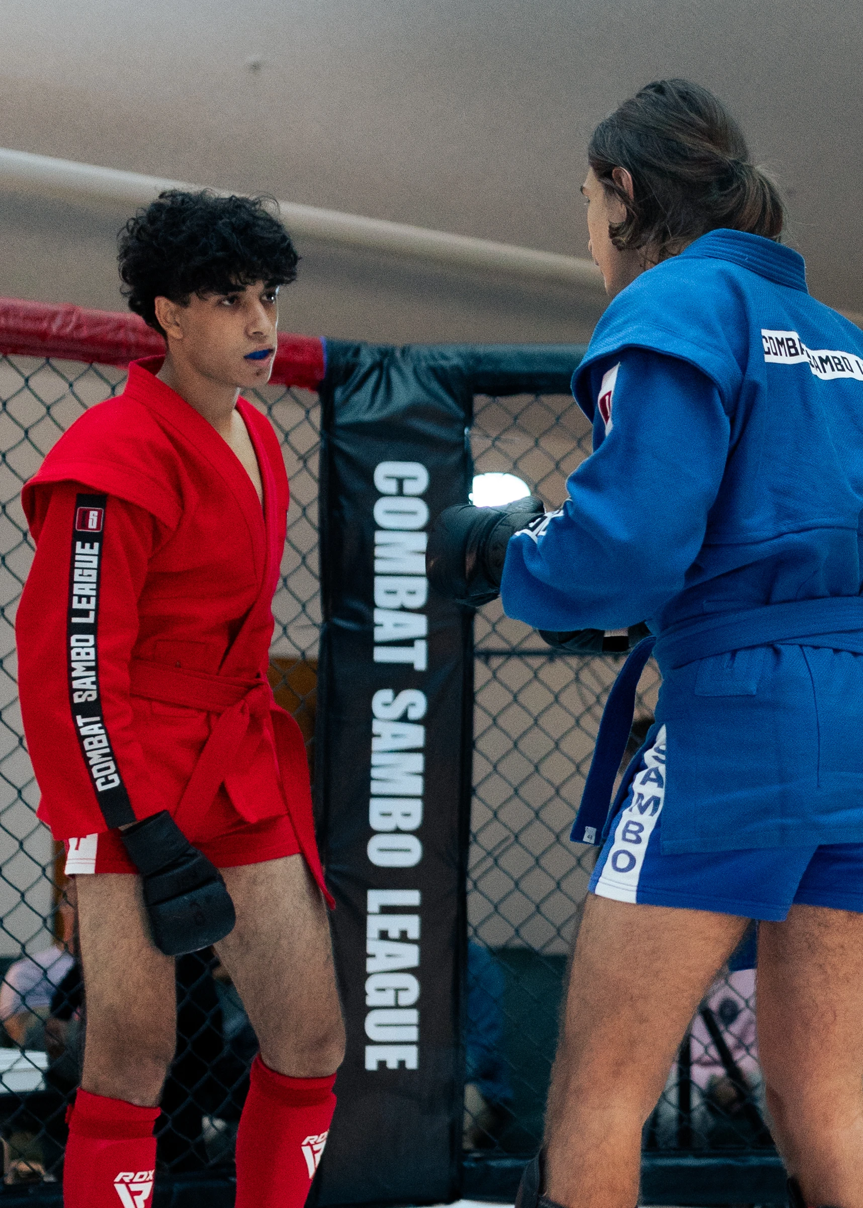 Combat Sambo League